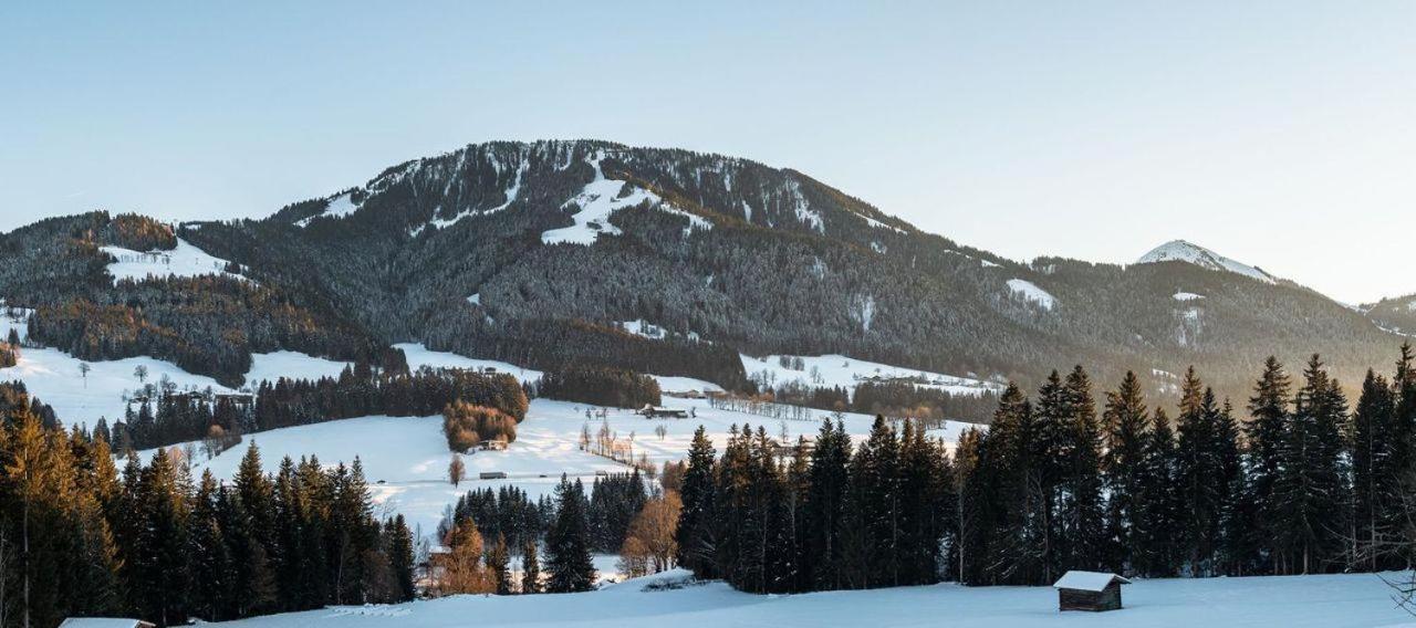 Ferienwohnung Bergliebe Scheffau am Wilden Kaiser Eksteriør bilde